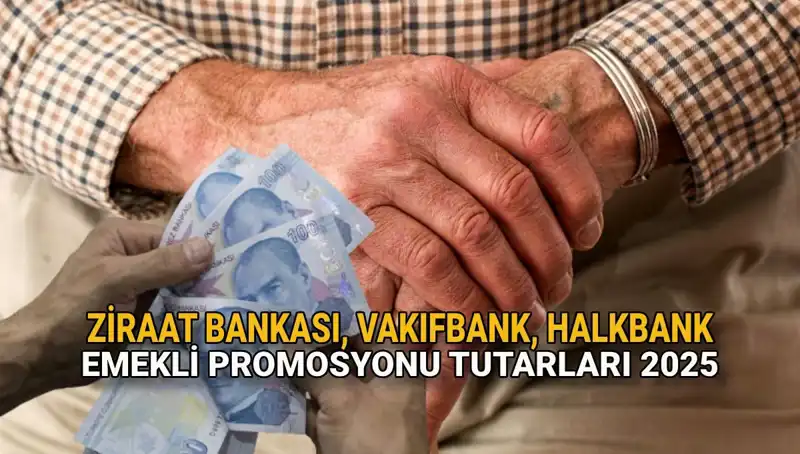 2025 Emekli Promosyonları: Kamu Bankaları Yeniliklerle Geliyor!