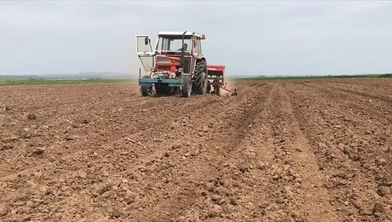 Son 35 Yılda Görülen En Kurak Mart Ayı: Yağışlarda Yüzde 59 Düşüş!