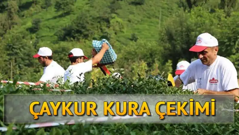 Çaykur Canlı Kura Sayfası: İsim Listesiyle Kura Sonuçlarına Nasıl Ulaşılır?