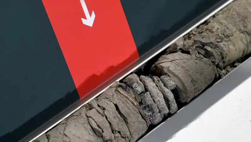 Müze Otoparkında Bulunan Dinozor Fosili, Tarihin Tozlarından Gün Yüzüne Çıktı