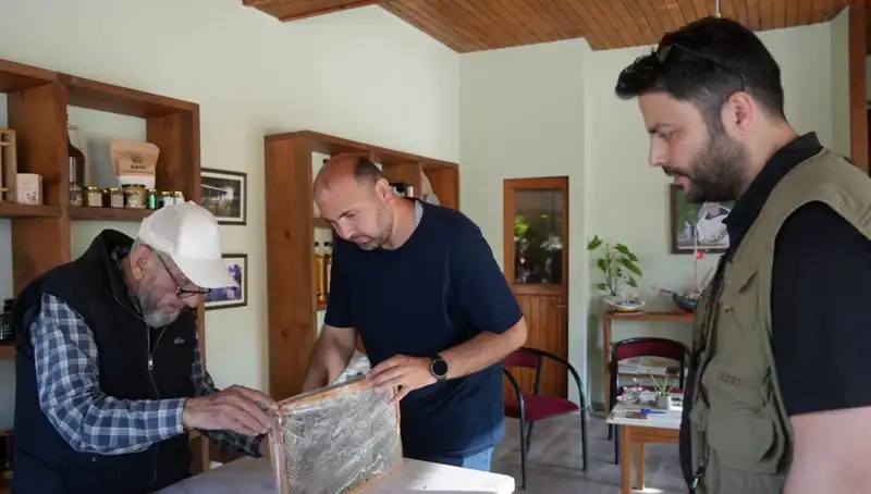 Şifa Kaynağı mı, Tehlike Mi? Doktorlar Uyarıyor!