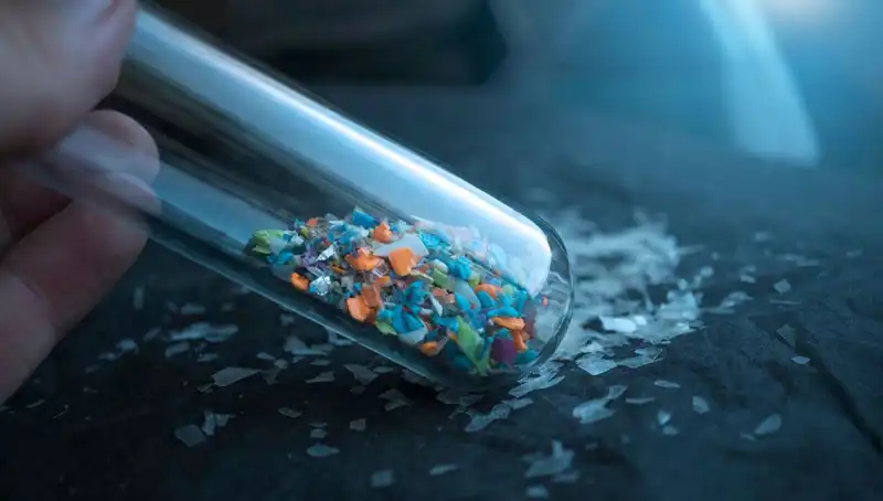 Mikroplastiklerin Beyne Sızması: Sağlık Üzerindeki Etkileri ve Son Gelişmeler