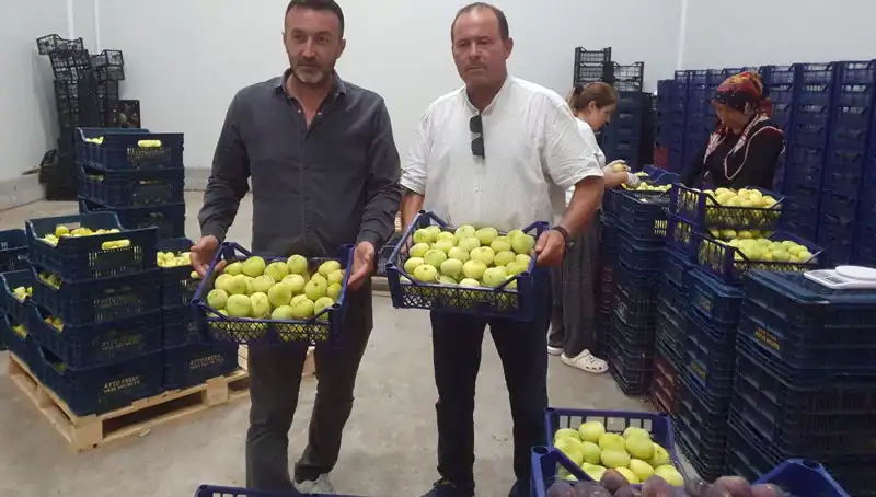 Mersinli Çiftçiler Yüzde Yüz Kazanıyor: İhraç Edilen Ürünler 20 TL!