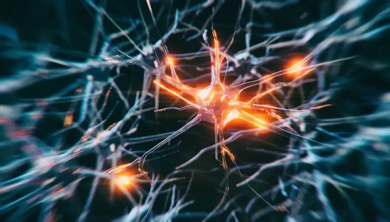 Alzheimer Vakalarında Artış: Nedenleri ve Gelecek Öngörüleri