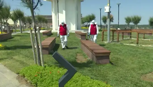 Kene Görülme Sıklığı Artıyor: Halka Açık Yerlerde İlaçlama Seferberliği