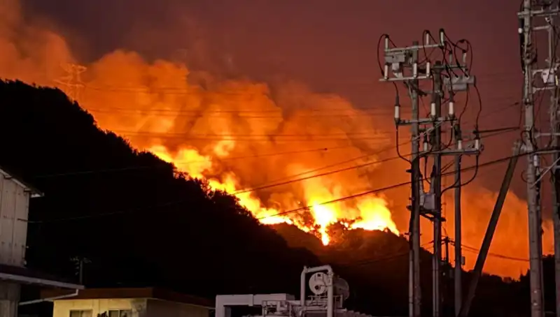 Japonya'da Orman Yangınları Alarm Veriyor: İki Eyalet Alevlere Teslim Oldu