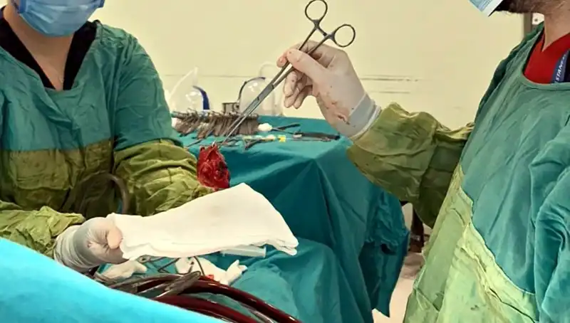 Kalp Kapağı Çürüyen Hasta İçin 7 Saatlik Mucizevi Ameliyat: Doktorların Açıklamaları