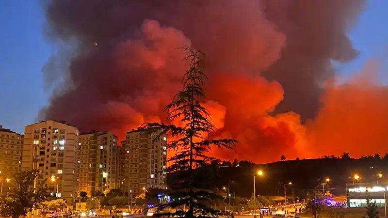 Bursa'da Yangın Tehlikesi: Şehir Yangınlarla Kavruluyor