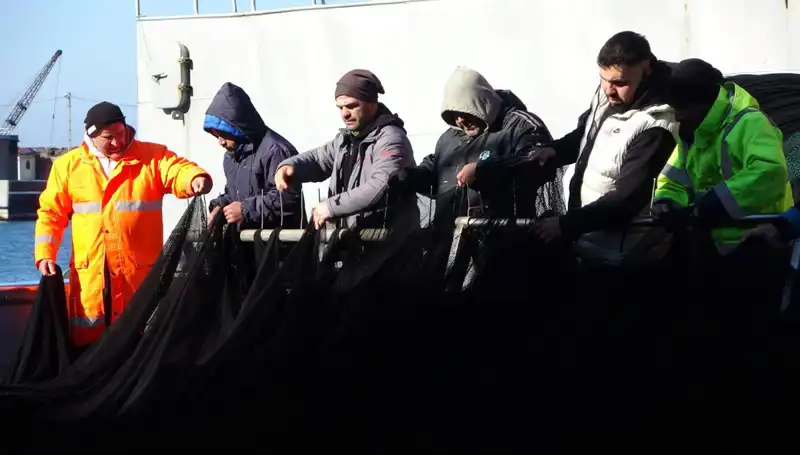 Denizlerde Hamsi Avında Şok Gelişme: Tekneler Erken Paydos Etti!
