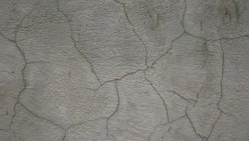 Yenilikçi Canlı Beton: Çatlakları Kendi Kendine Onarıyor!