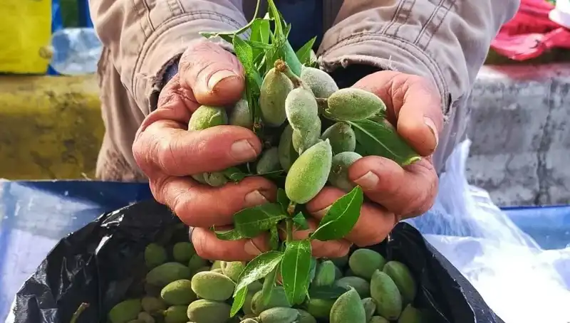 Bu Bahar Hangi Taze Sebzeyi Almalıyız? Fiyatlar Şok Edici!