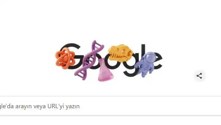 STEM Alanındaki Kadınları Onurlandıran Google Doodle Nedir?
