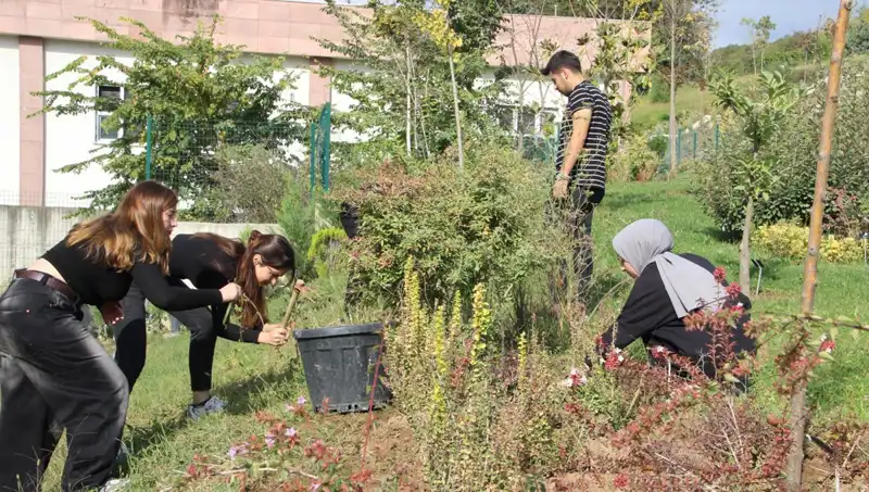 Düzce'nin Rüyası: Kültürel Miras, Dünya Sahnesinde Hayata Geçti