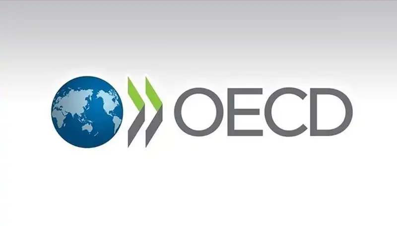 OECD, Türkiye'nin Ekonomik Büyüme Tahminini Revize Etti: Yeni Rakamlar Neler?