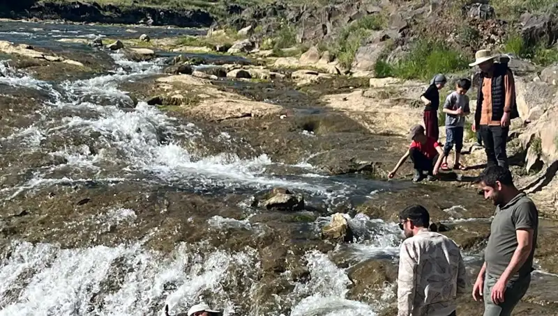 İnci Kefali Göçü: Doğanın Mucizesi Turistleri Çekiyor