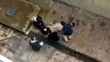 Kampüste Köpek Paniği: Koşarken 4 Metreden Betona Düşen Öğrenci Yaralandı