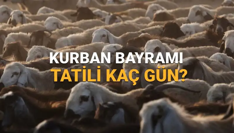 Kurban Bayramı 2025: Tatil Takvimi ve Planlarınızı Şimdiden Yapın!