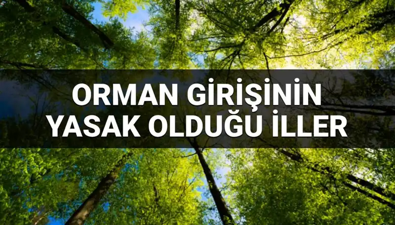 2025'te Ormana Girişi Yasaklanan İller: Hangi Bölgelere Dikkat Etmelisiniz?