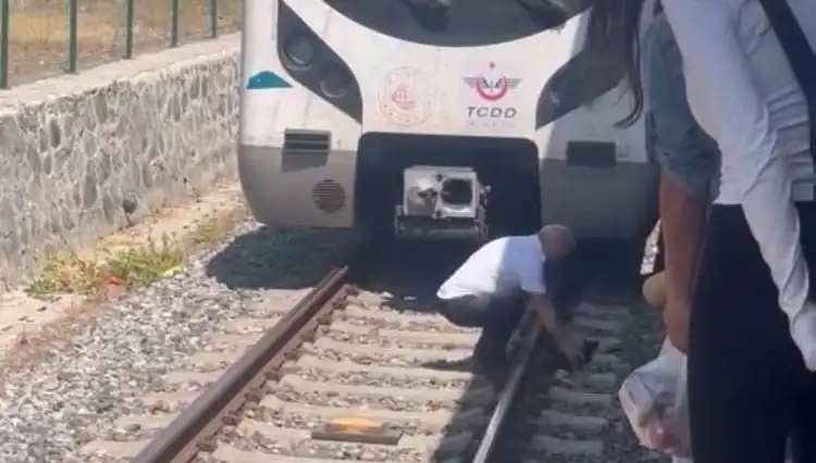 Marmaray Makinisti, Raylardaki Kediyi Görünce Trenini Durdurdu