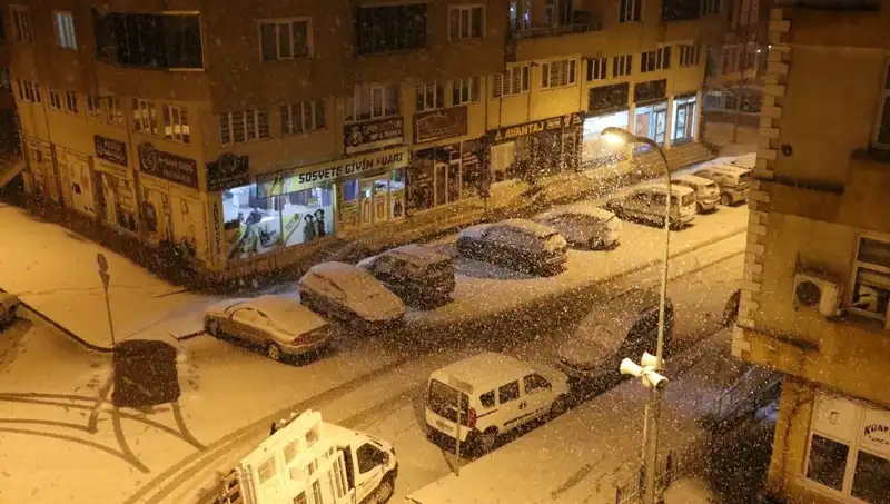 Bir Günde İki Mevsim: Gece Yağan Kar, Sabah Bahara Dönüştü
