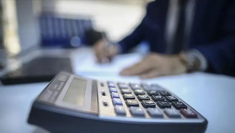 Enflasyon Düzeltmesine Neden Olan Son Gelişmeler ve Denetim Stratejileri
