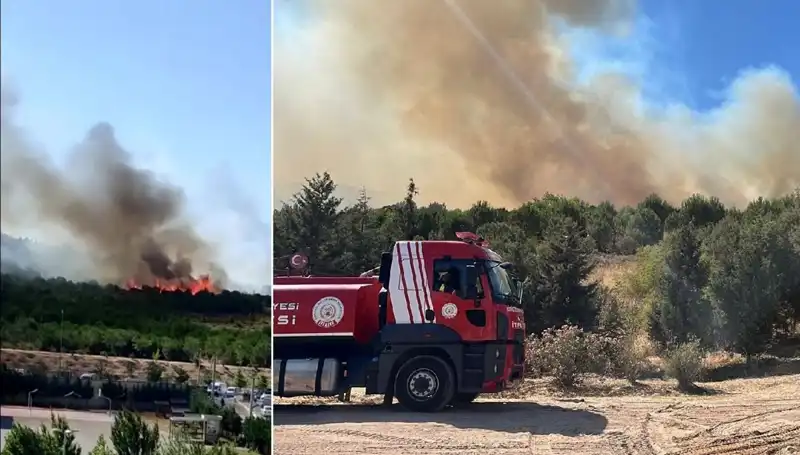 Gebze'de Korkutan Orman Yangını: Ekipler Sınıra Yetişti