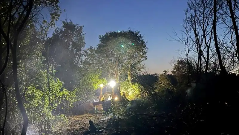 Edirne'deki Orman Yangını Kontrol Altına Alındı: Ekiplere Büyük Teşekkür