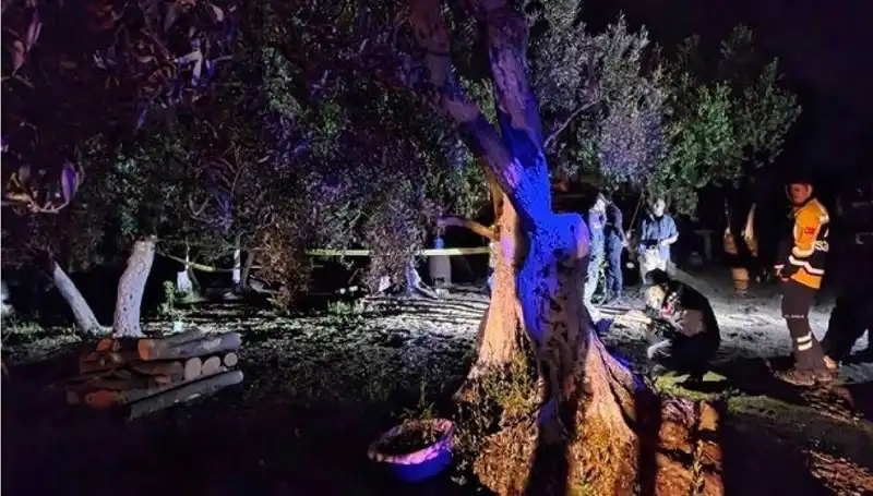 Çiftlikteki Baltalı Vahşete İki Tutuklama: Olayın Ardındaki Korkunç Gerçekler