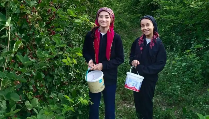 Antoksidan Zengini Besinler: Kanserle Mücadelede Yeni Umutlar