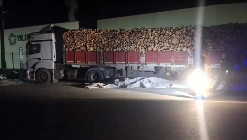 TIR Sürücüsü Brandasını Toplarken Kazaya Kurban Gitti