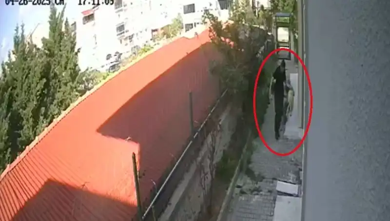 Hayvansever Doktorun Korkunç Sırları: Evdeki Köpekleri Parça Parça Etti!