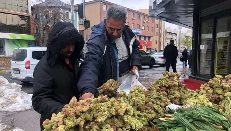 Kendiliğinden Yetişen Vitamin Deposunun Kanserle Mücadeledeki Rolü